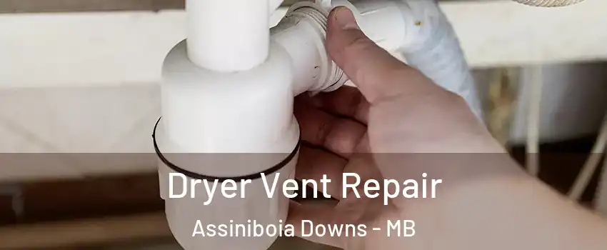  Dryer Vent Repair Assiniboia Downs - MB