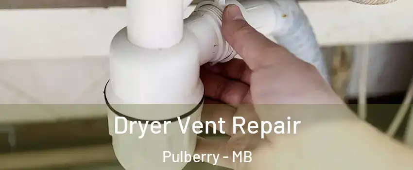  Dryer Vent Repair Pulberry - MB