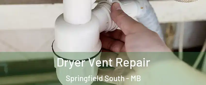  Dryer Vent Repair Springfield South - MB
