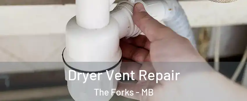  Dryer Vent Repair The Forks - MB
