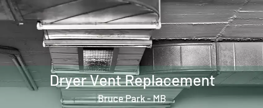  Dryer Vent Replacement Bruce Park - MB