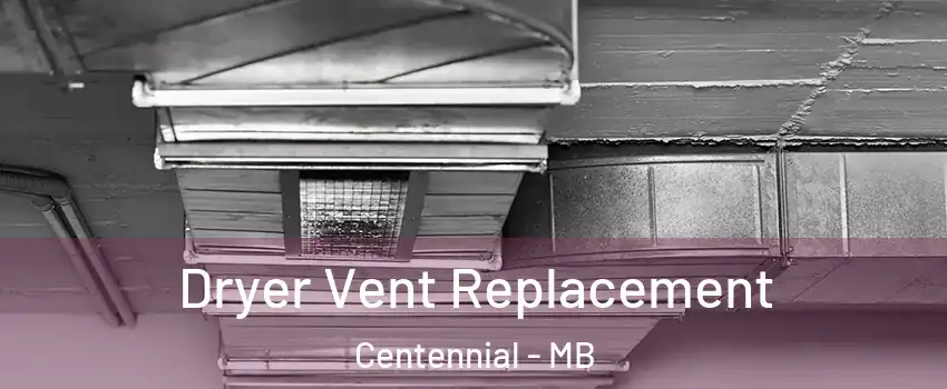  Dryer Vent Replacement Centennial - MB