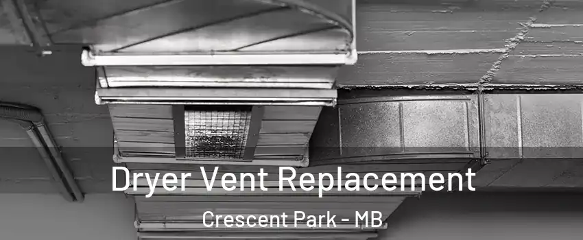  Dryer Vent Replacement Crescent Park - MB