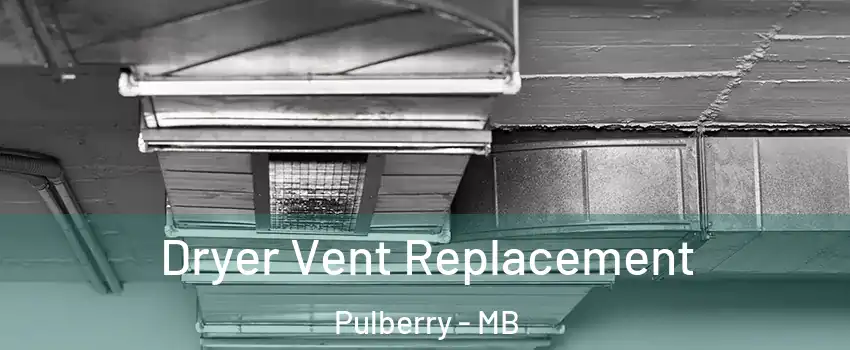  Dryer Vent Replacement Pulberry - MB