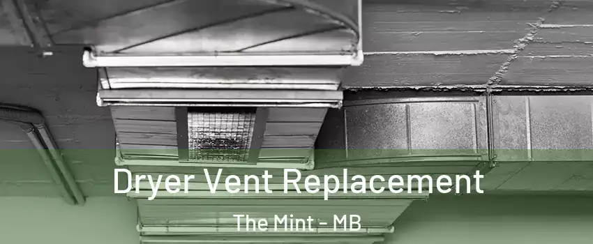  Dryer Vent Replacement The Mint - MB