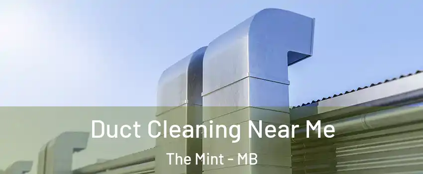  Duct Cleaning Near Me The Mint - MB