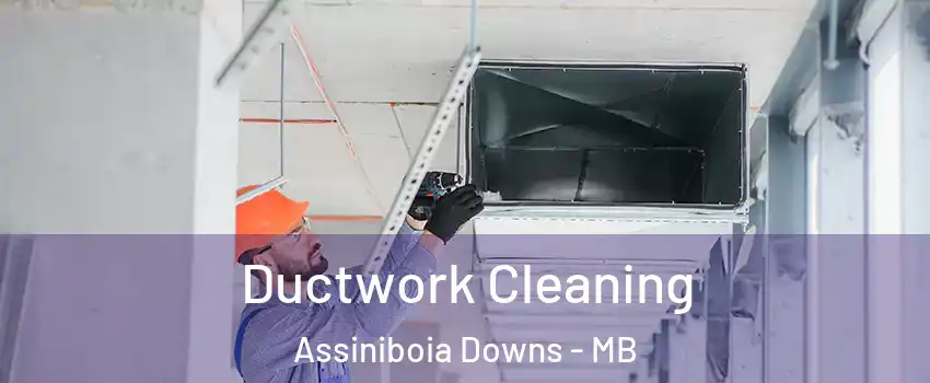  Ductwork Cleaning Assiniboia Downs - MB