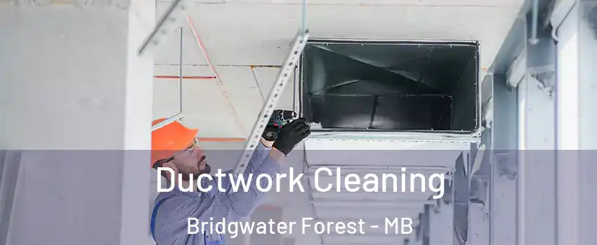  Ductwork Cleaning Bridgwater Forest - MB