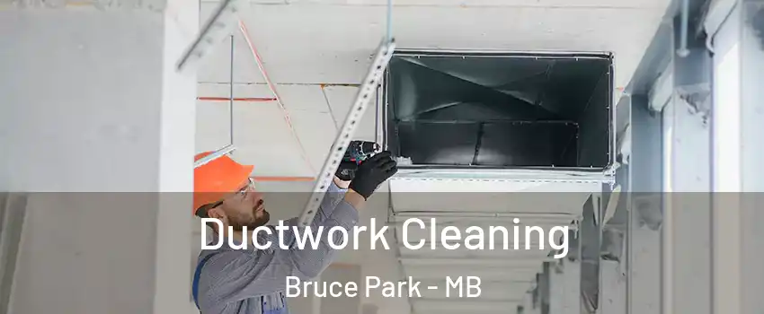  Ductwork Cleaning Bruce Park - MB