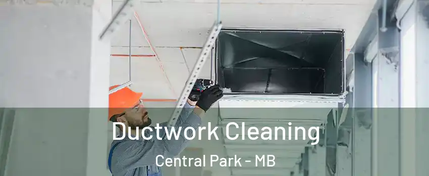  Ductwork Cleaning Central Park - MB