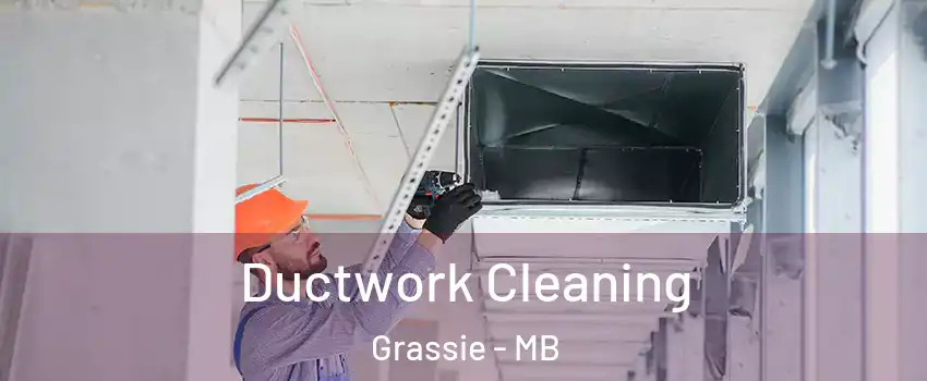  Ductwork Cleaning Grassie - MB