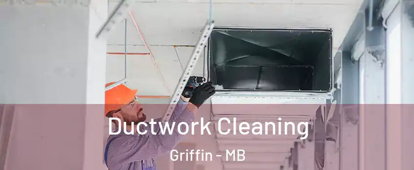  Ductwork Cleaning Griffin - MB