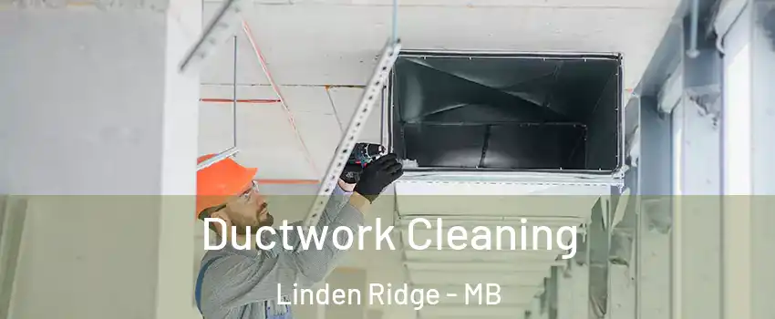  Ductwork Cleaning Linden Ridge - MB