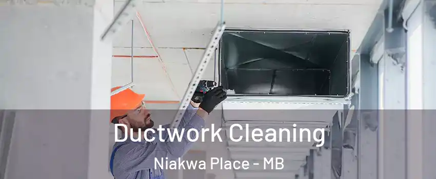  Ductwork Cleaning Niakwa Place - MB