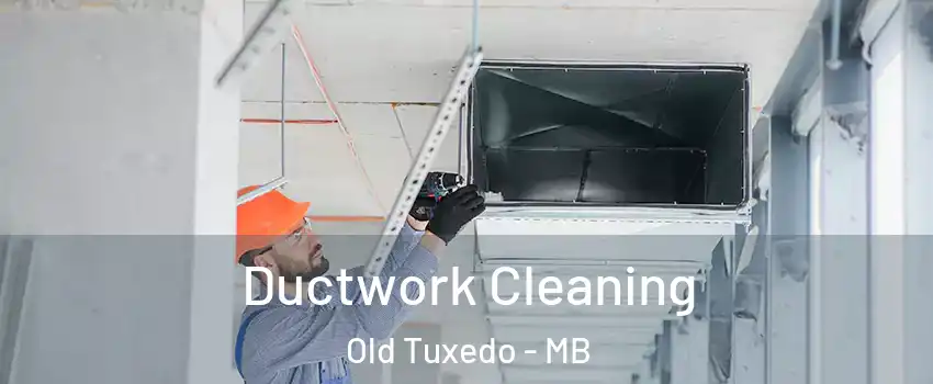  Ductwork Cleaning Old Tuxedo - MB