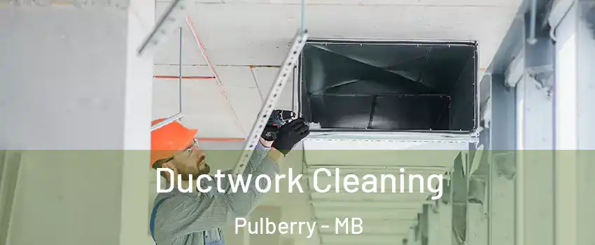  Ductwork Cleaning Pulberry - MB