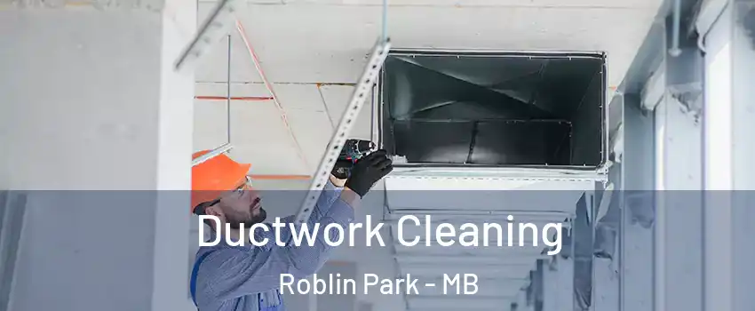  Ductwork Cleaning Roblin Park - MB
