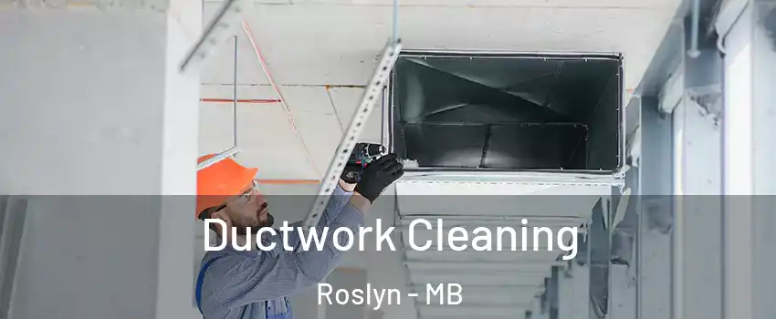  Ductwork Cleaning Roslyn - MB