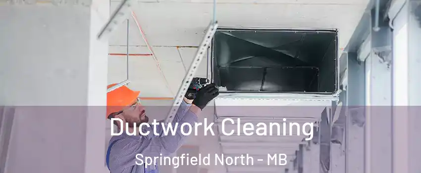  Ductwork Cleaning Springfield North - MB