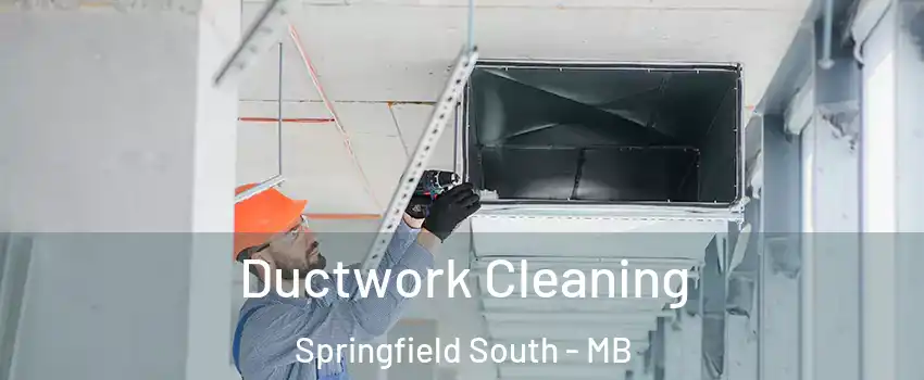  Ductwork Cleaning Springfield South - MB