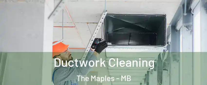  Ductwork Cleaning The Maples - MB