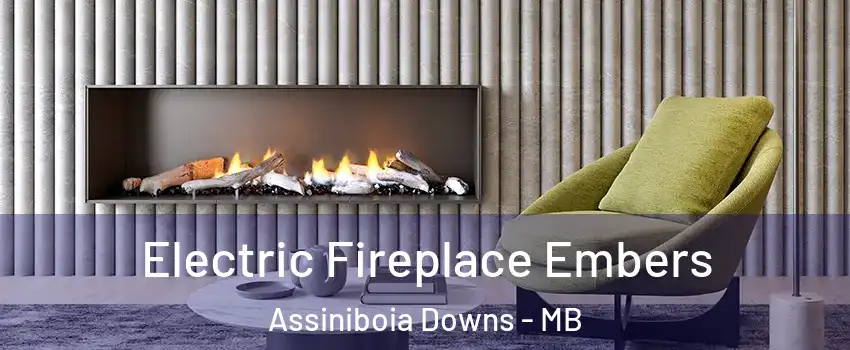  Electric Fireplace Embers Assiniboia Downs - MB
