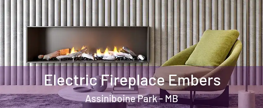 Electric Fireplace Embers Assiniboine Park - MB