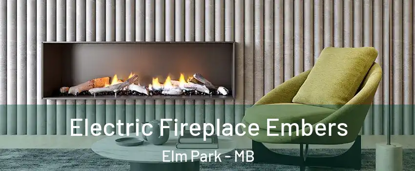  Electric Fireplace Embers Elm Park - MB