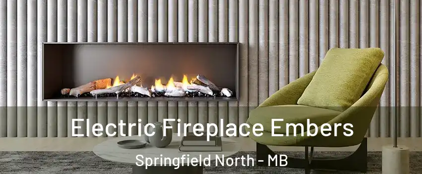  Electric Fireplace Embers Springfield North - MB