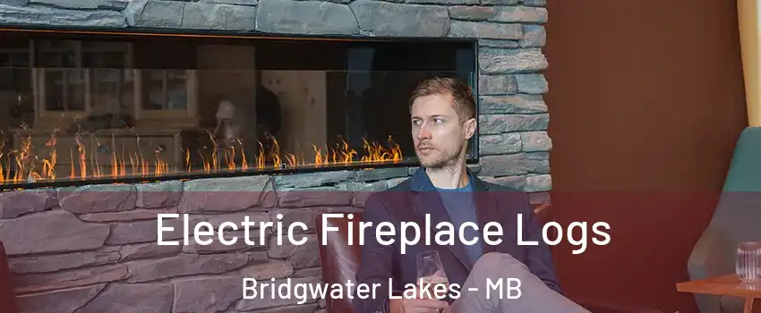 Electric Fireplace Logs Bridgwater Lakes - MB