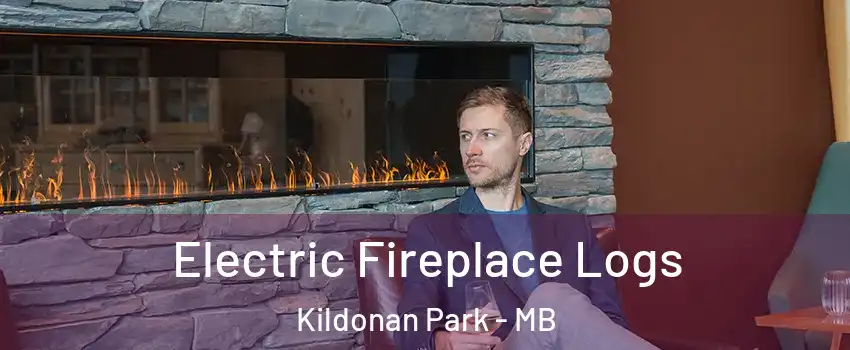  Electric Fireplace Logs Kildonan Park - MB