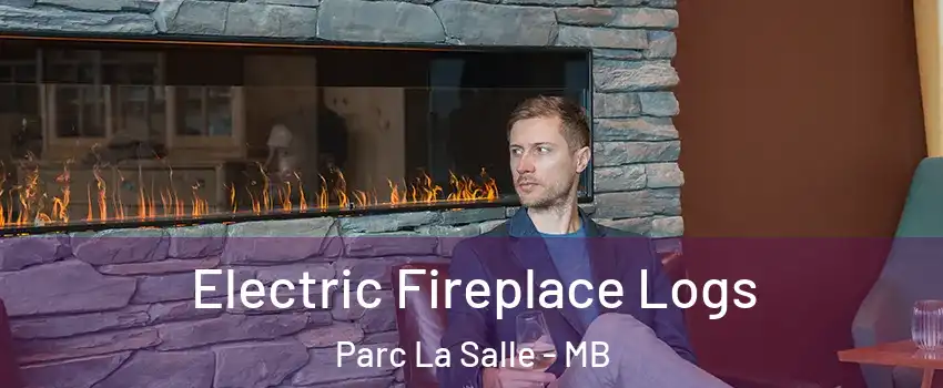  Electric Fireplace Logs Parc La Salle - MB
