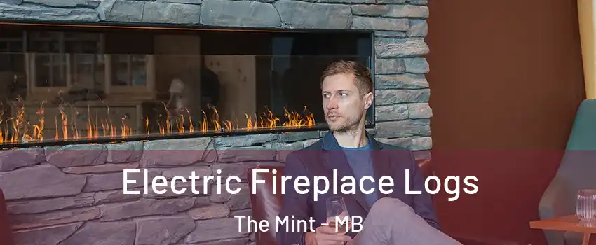  Electric Fireplace Logs The Mint - MB