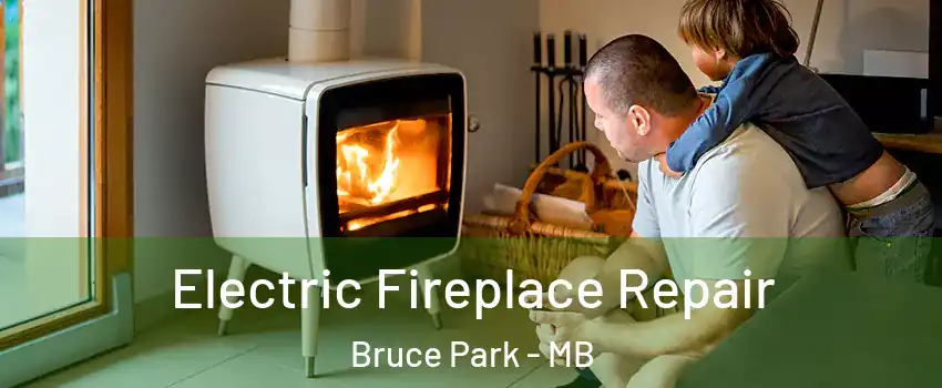  Electric Fireplace Repair Bruce Park - MB