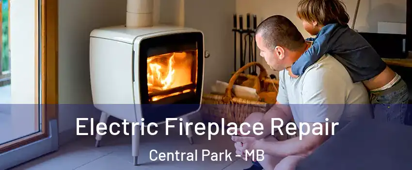  Electric Fireplace Repair Central Park - MB