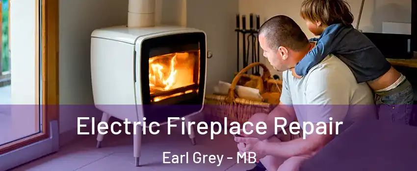  Electric Fireplace Repair Earl Grey - MB