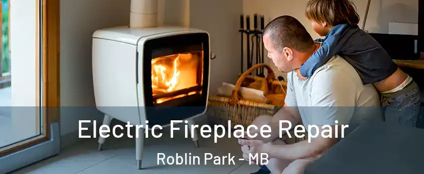  Electric Fireplace Repair Roblin Park - MB