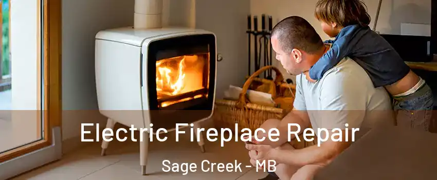  Electric Fireplace Repair Sage Creek - MB