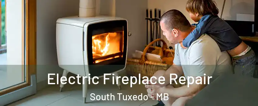  Electric Fireplace Repair South Tuxedo - MB