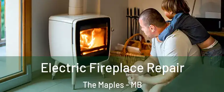  Electric Fireplace Repair The Maples - MB