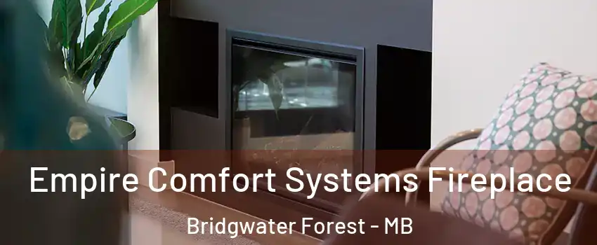  Empire Comfort Systems Fireplace Bridgwater Forest - MB