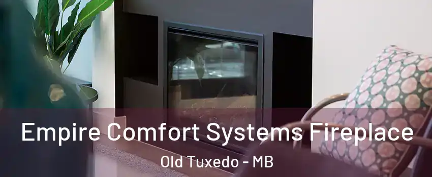  Empire Comfort Systems Fireplace Old Tuxedo - MB