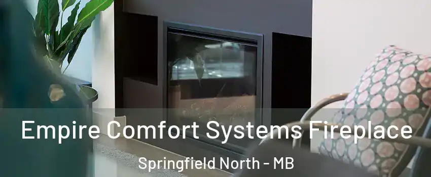  Empire Comfort Systems Fireplace Springfield North - MB
