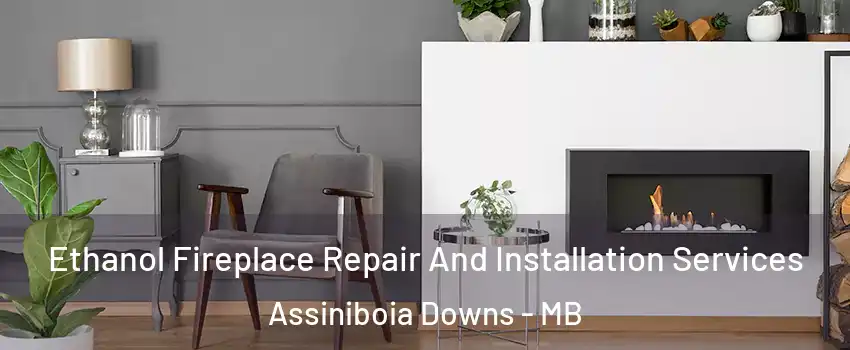  Ethanol Fireplace Repair And Installation Services Assiniboia Downs - MB