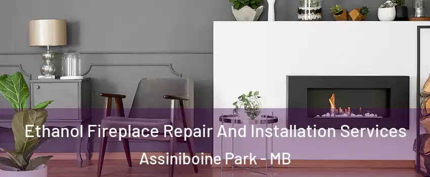  Ethanol Fireplace Repair And Installation Services Assiniboine Park - MB