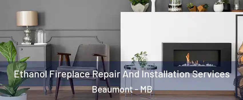 Ethanol Fireplace Repair And Installation Services Beaumont - MB
