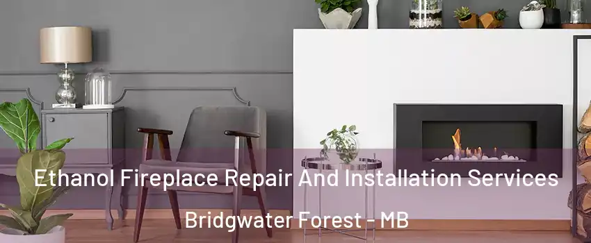  Ethanol Fireplace Repair And Installation Services Bridgwater Forest - MB