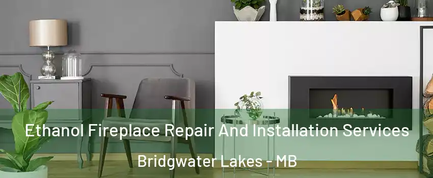  Ethanol Fireplace Repair And Installation Services Bridgwater Lakes - MB