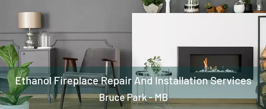  Ethanol Fireplace Repair And Installation Services Bruce Park - MB