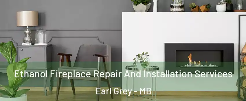  Ethanol Fireplace Repair And Installation Services Earl Grey - MB